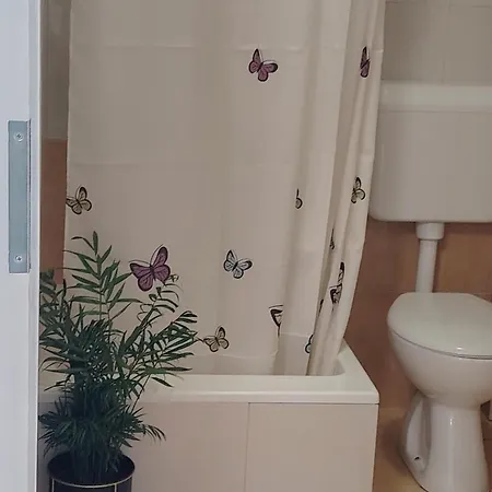 Buzolic 3 * Хвар