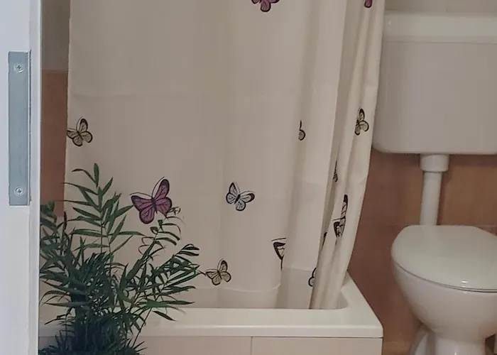 Buzolic 3 * フヴァル